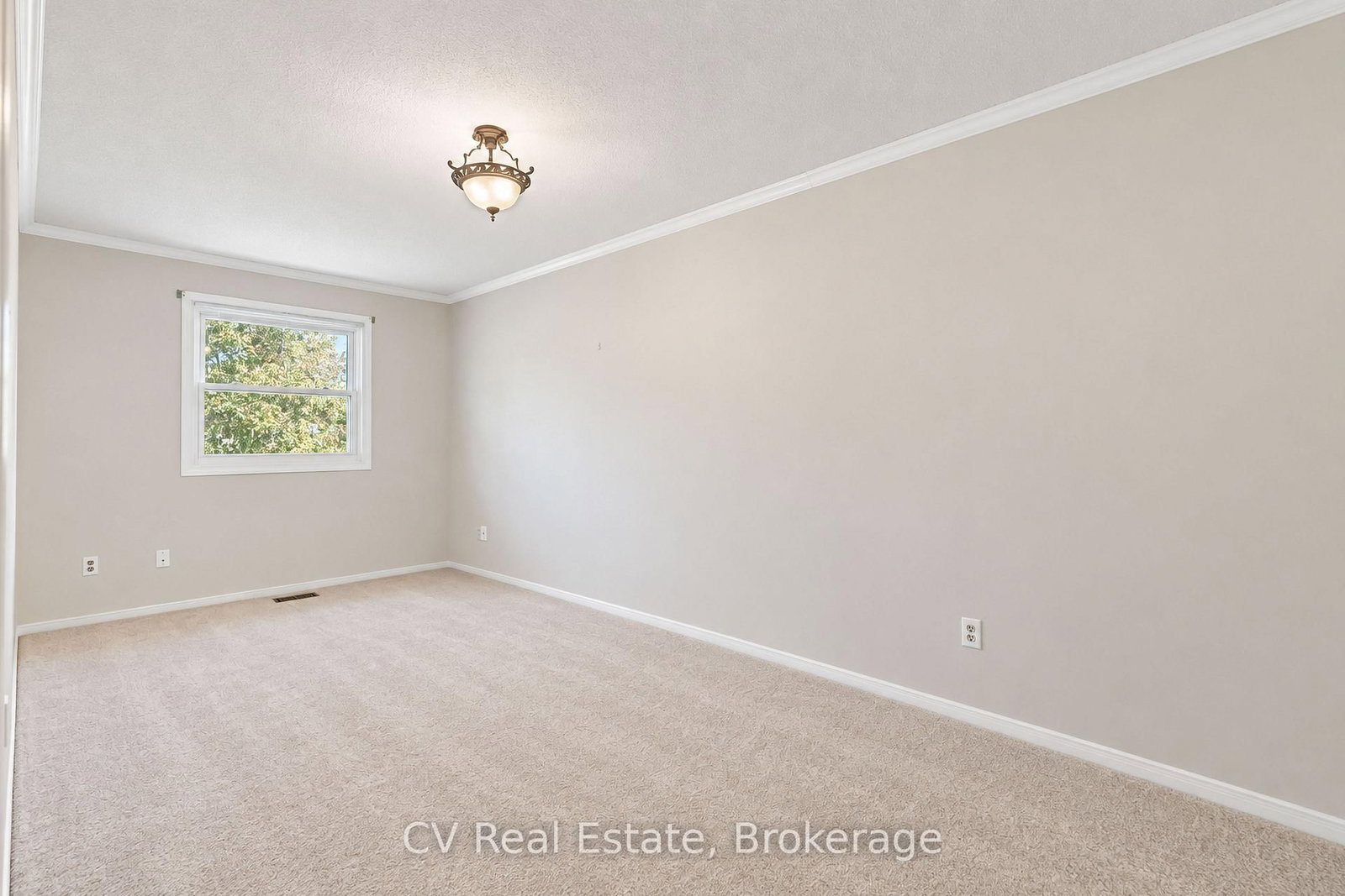 1025 Maclean Street • Innisfil, ON photo 23