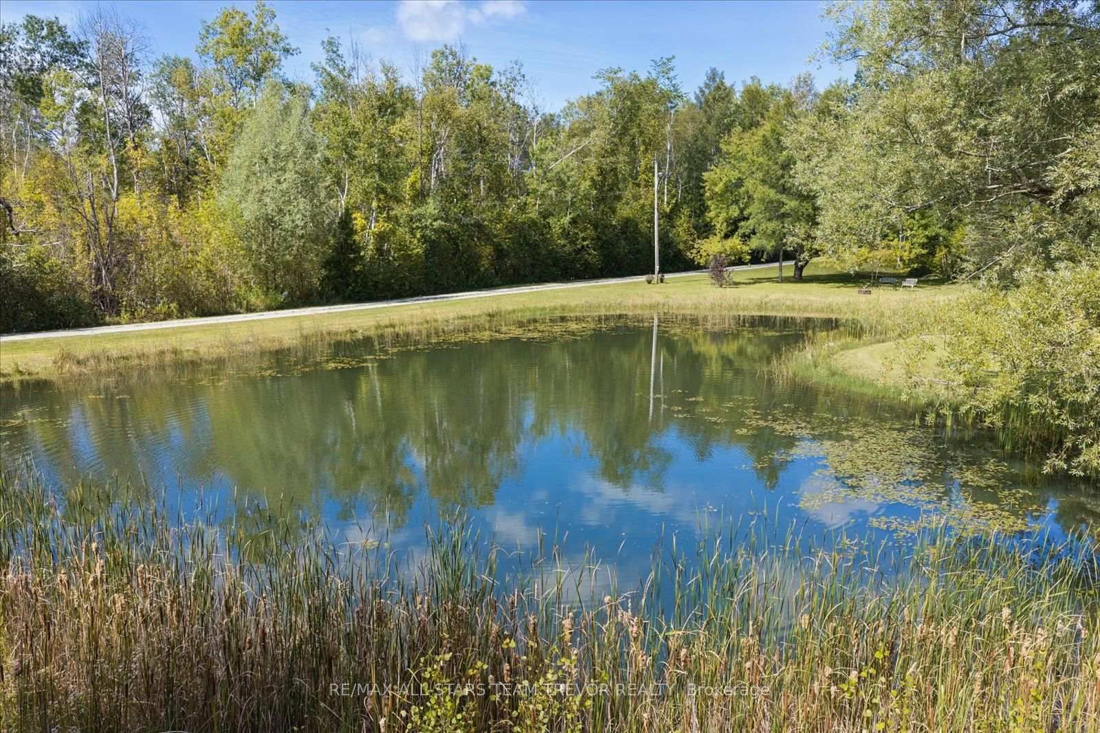 3098 Boag Road • East Gwillimbury, ON photo 14