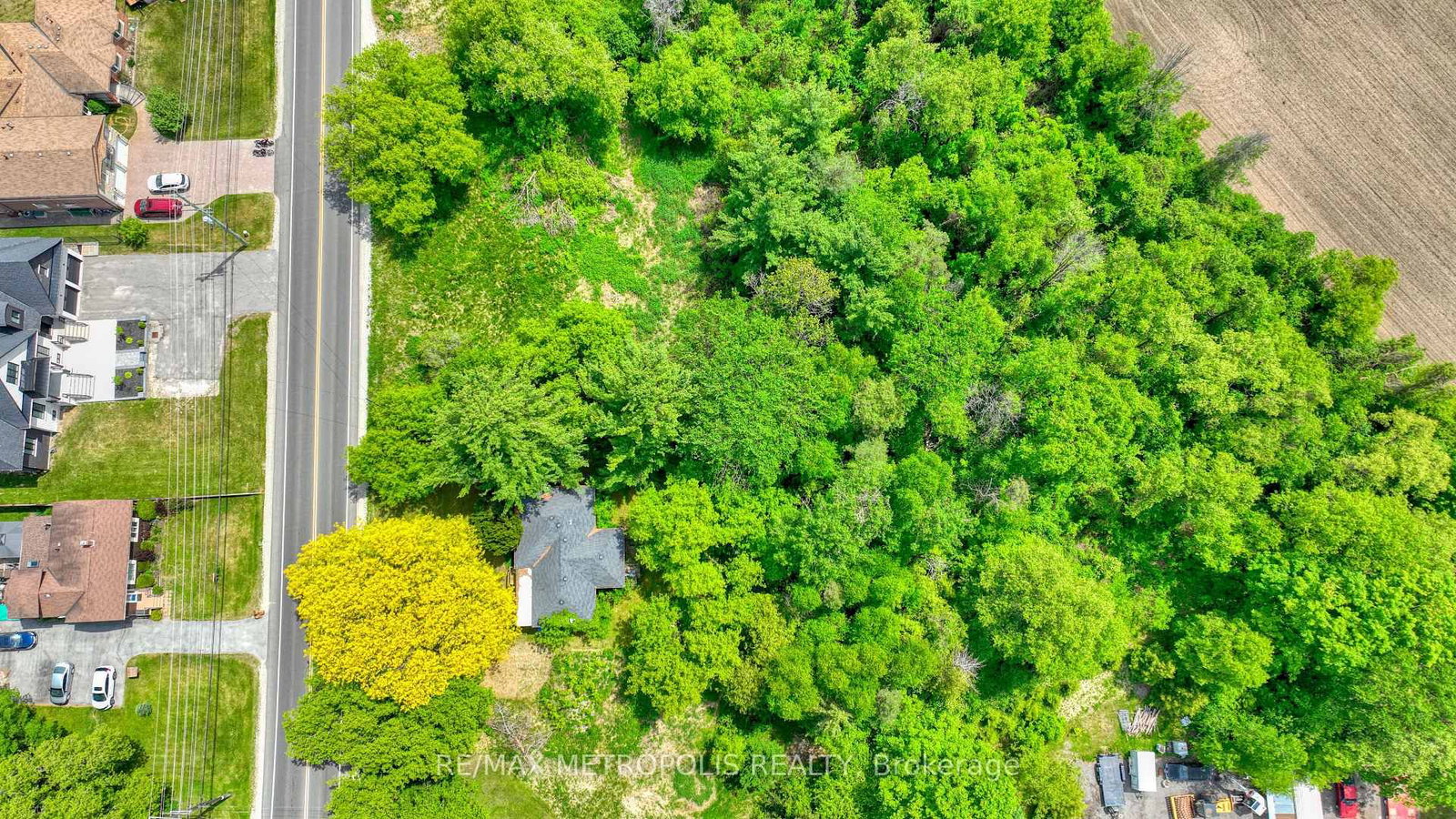 4605 Lloydtown Aurora Road • King, ON photo 10