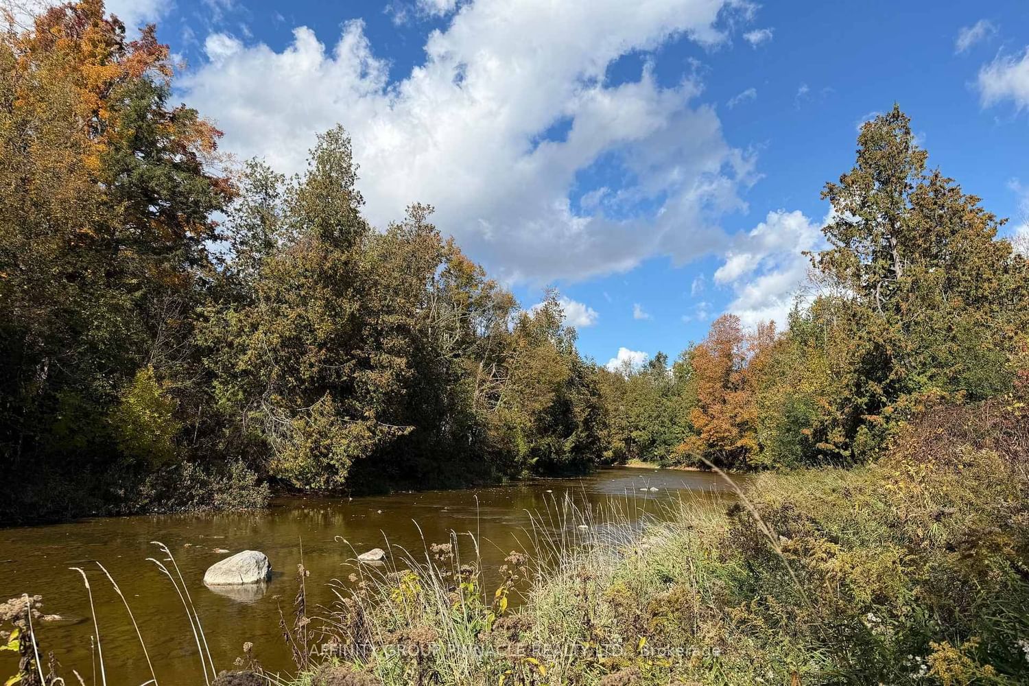 B1710 Thorah Concession 4 Road • Brock, ON photo 40