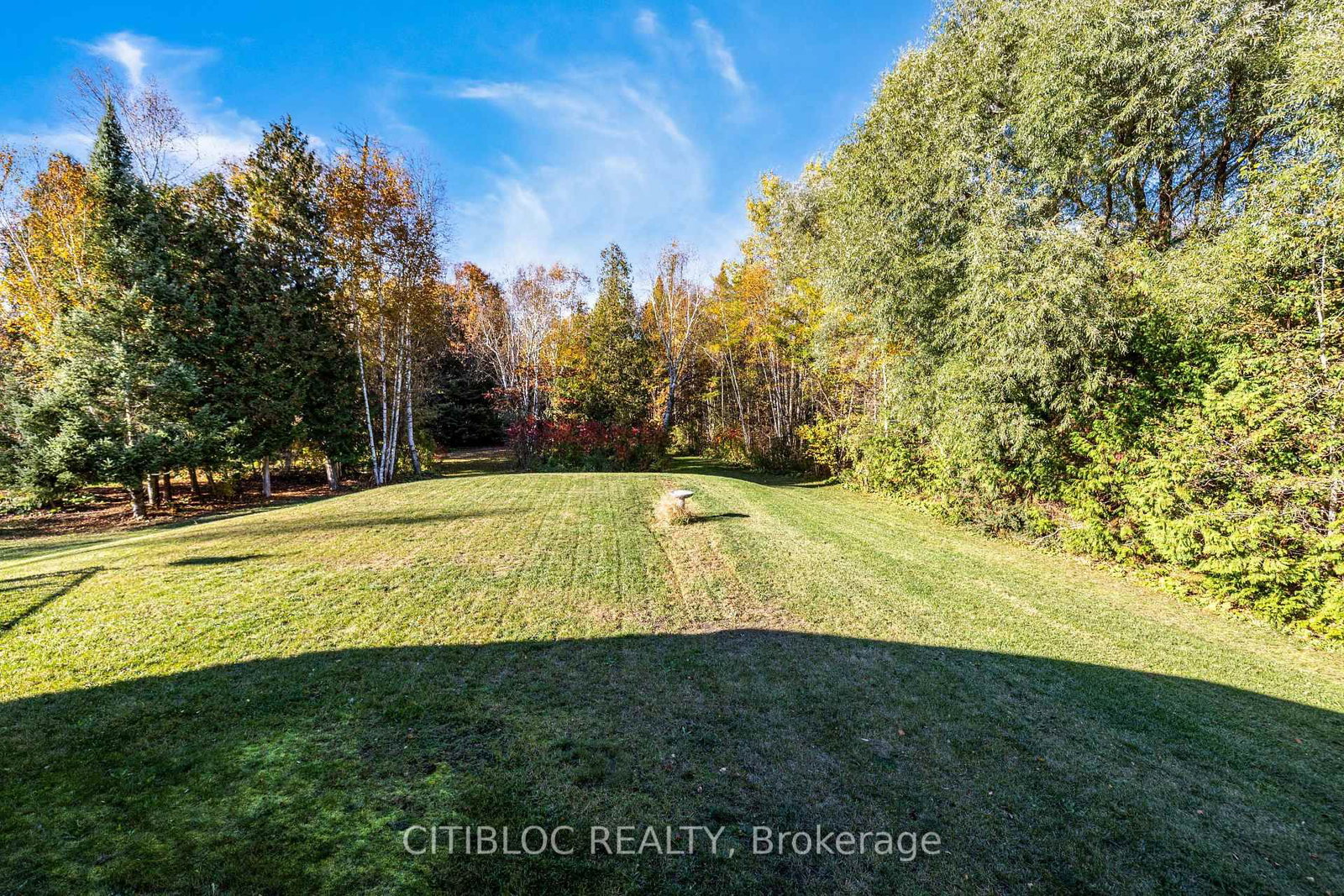 9394 County Rd 1 Road • Adjala-Tosorontio, ON photo 41