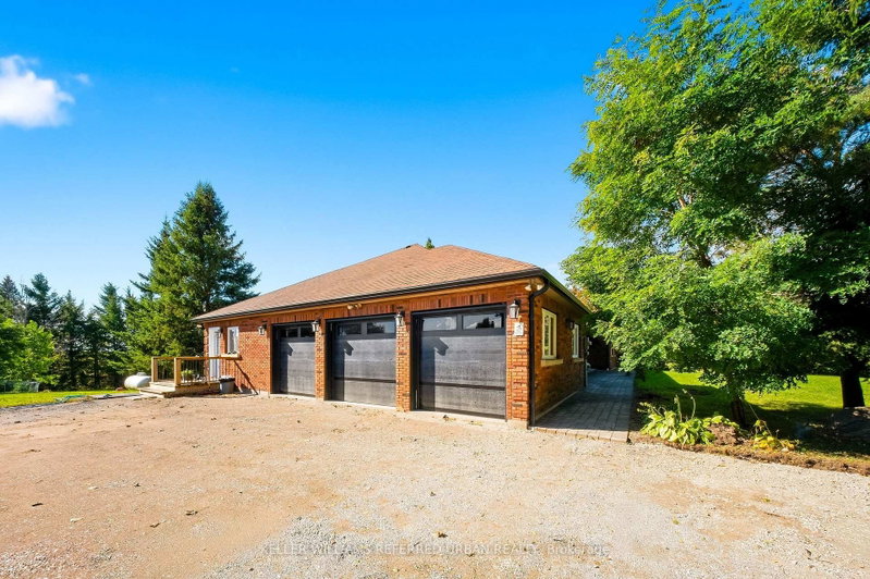 Basement - 2377 5th Line