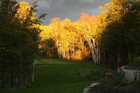 65 Kingswood Dr, King, L7B1K8 | Image 2