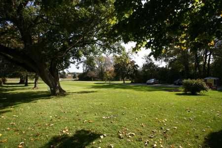 7300 Reesor Rd, Markham, L6B1A8 | Image 2