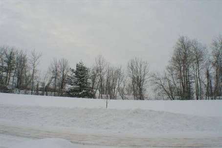 1410 Forest St, Innisfil, L9S4Y4 | Image 2