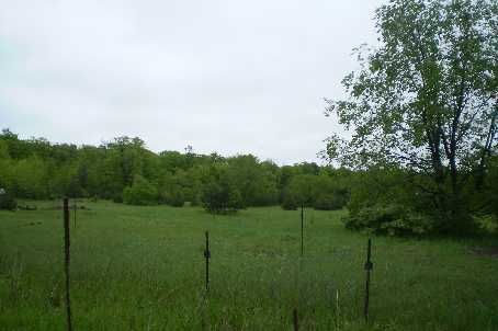 4597 Aurora Rd, Whitchurch-Stouffville, L4A7X4 | Image 3