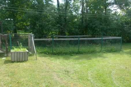 512 Sarah St, Brock, L0K1A0 | Image 3