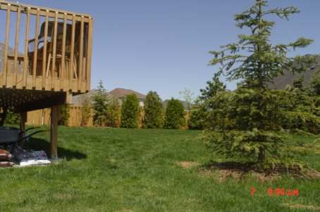 148 Hunterwood Chse, Vaughan, L6A4A8 | Image 3