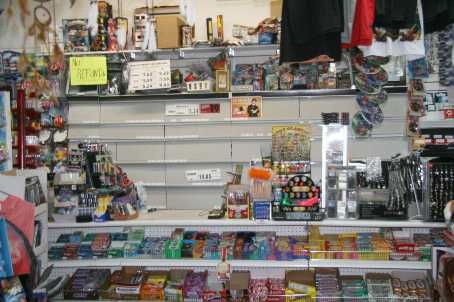 9 - 190 Simcoe Ave, Georgina, L4P2H7 | Image 2