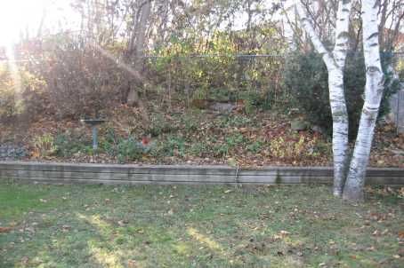 255 Penn Ave, Newmarket, L3Y2S4 | Image 2