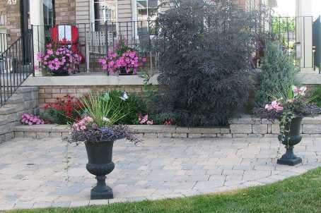 49 Convoy Cres, Vaughan, L6A3H3 | Image 3