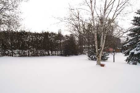 17 Mill St, East Gwillimbury, L0G1M0 | Image 2