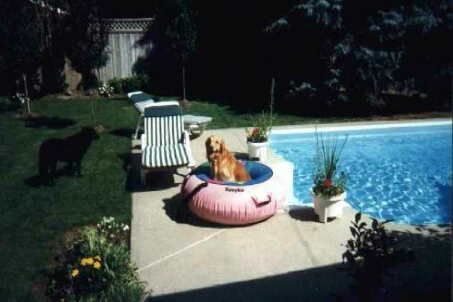 16 Wilson St, New Tecumseth, L0G1W0 | Image 2