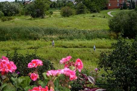 284 Pinnacle Tr, Aurora, L4G7G2 | Image 3