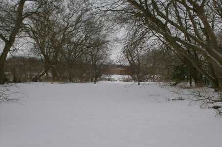 8061 Main St, Adjala-Tosorontio, L0M1J0 | Image 2