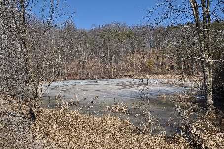 8805 Highway 9 Rd, King, L0G1W0 | Image 3