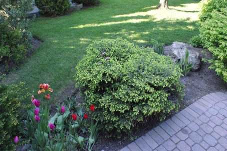 24 Testa Rd, Uxbridge, L9P1M2 | Image 2