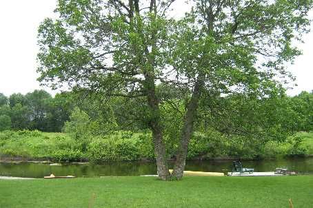 18 Villa Dr, Georgina, L0E1N0 | Image 3