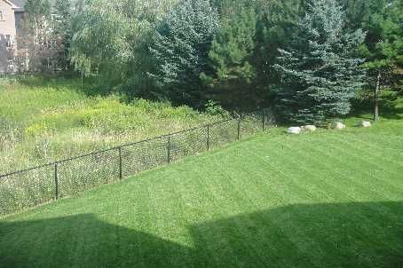 43 Catano Crt, Richmond Hill, L4S2V4 | Image 2