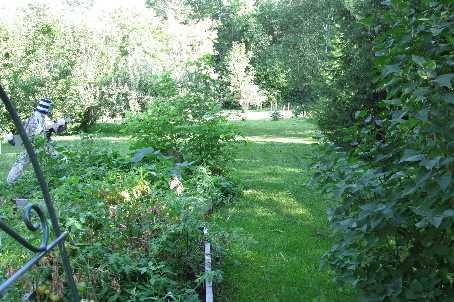 420 Centre St, Brock, L0K1A0 | Image 3