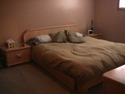 8245 Main St E, Adjala-Tosorontio, L0M1M0 | Image 2