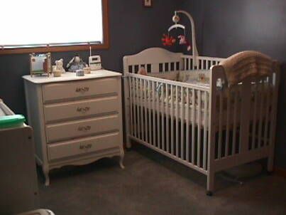 8245 Main St E, Adjala-Tosorontio, L0M1M0 | Image 3