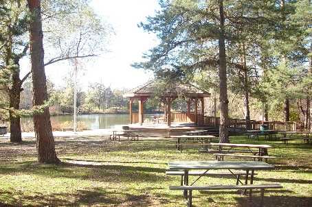 602 - 67 Richmond St, Richmond Hill, L4C3Y3 | Image 2