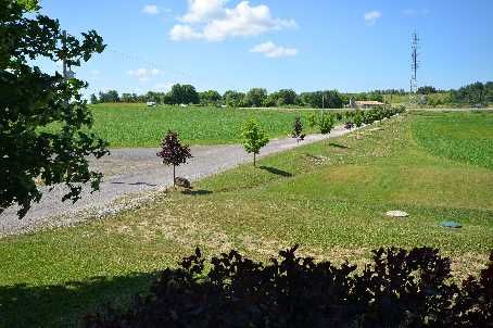 8805 Highway 9, King, L0G1W0 | Image 2