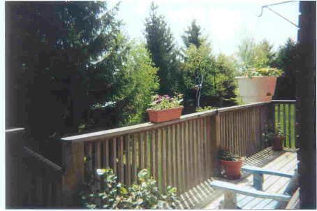 40 Green Briar Rd, New Tecumseth, L9R1R5 | Image 3