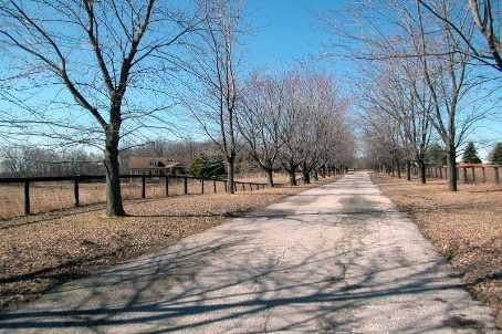 13682 Warden Ave, Whitchurch-Stouffville, L4A1B3 | Image 3