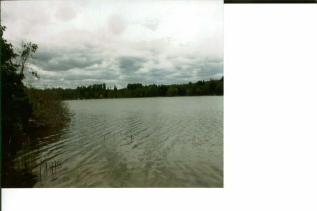 789 Foster Dr, Uxbridge, L0C1H0 | Image 3