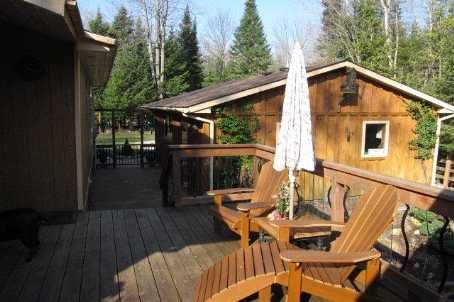 59 Forest Hill Dr, Adjala-Tosorontio, L0M1M0 | Image 2