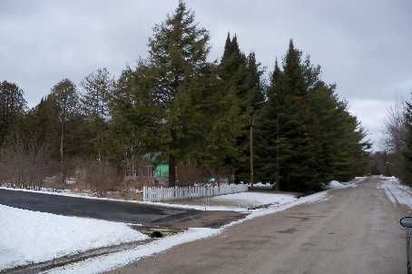 3213 Beach Ave, Innisfil, L9S2K6 | Image 3