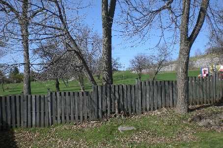 166 Collings Ave, Bradford West Gwillimbury, L3Z1W1 | Image 3