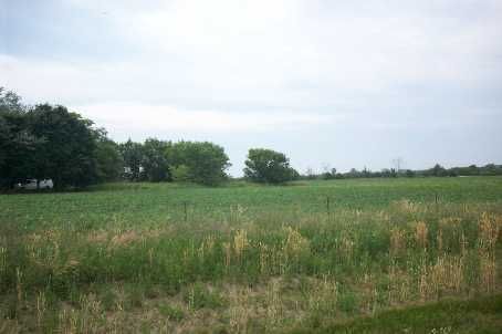 3658 Stouffville Rd, Whitchurch-Stouffville, L4A7X5 | Image 2