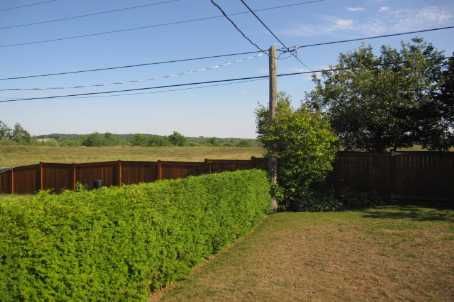 49 Brown St, New Tecumseth, L0G1W0 | Image 3