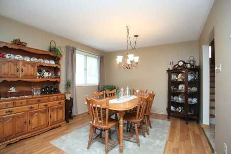 5853 Yonge St, Innisfil, L0L1K0 | Image 3