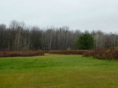 Vacant Land sold at 20111 Bathurst Street, East Gwillimbury, Holland Landing, L9N1N3 - MLS: N2498492