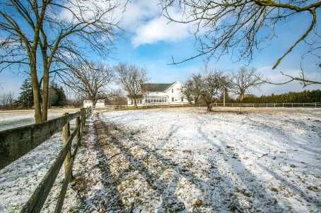 13342 Warden Ave, Whitchurch-Stouffville, L4A7X5 | Image 3