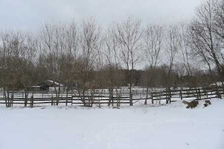 37 Greenan Rd, Whitchurch-Stouffville, L4A7X4 | Image 3