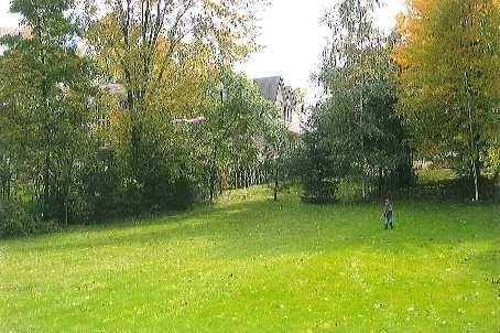 442 Sunset Beach Rd, Richmond Hill, L4E3J2 | Image 3