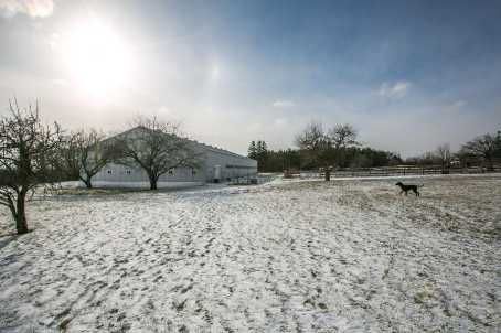 13342 Warden Ave, Whitchurch-Stouffville, L4A7X5 | Image 2