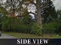 20 James Scott Rd, Markham, L3P7X7 | Image 2