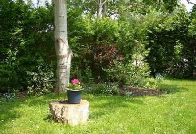 106 Maytree Ave, Whitchurch-Stouffville, L4A1G2 | Image 3