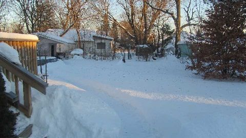 931 Goldie St, Innisfil, L0L1C0 | Image 3