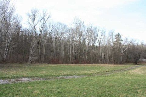 400 Lloyd's Lane, King, L0G 1J0 | Image 2