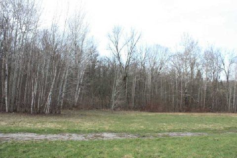 400 Lloyd's Lane, King, L0G 1J0 | Image 3