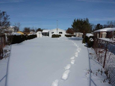 7 Crawford Circ, New Tecumseth, L0G1A0 | Image 2