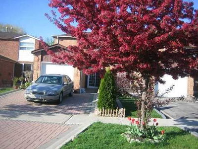 Semi-Detached House sold at 52 Ashcroft Court, Vaughan, East Woodbridge, L4L1H2 - MLS: N2870386