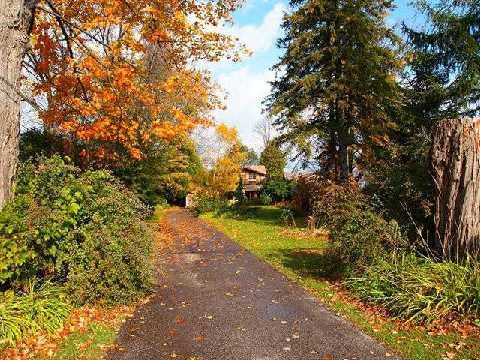 78 Clovelly Cove Rd, Georgina, L0E1N0 | Image 2